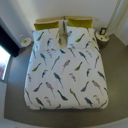 Appartement Casa Bonita Médano El Médano